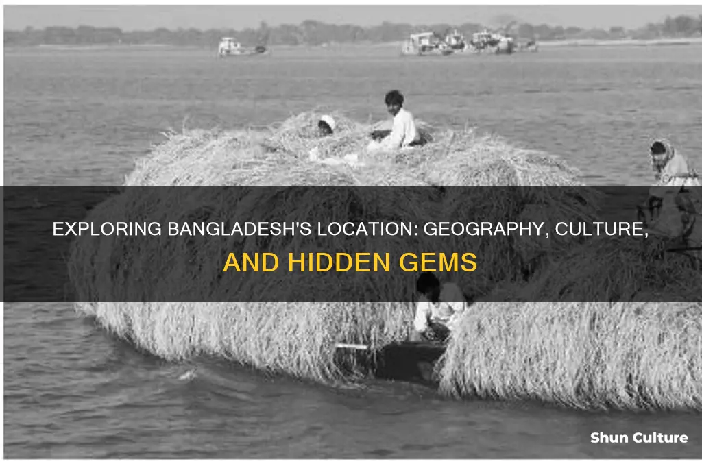 where si bangladesh