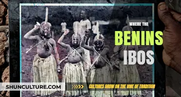 Exploring the Rich Cultural Heritage of Benin's Igbo Community