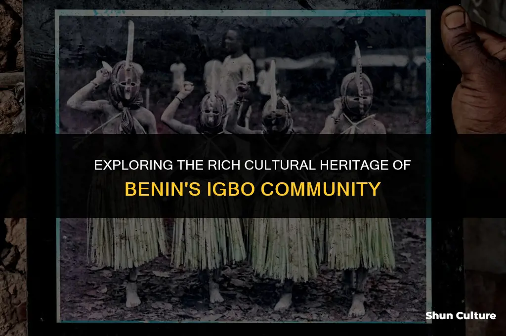 where the benins ibos