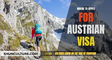 Applying for an Austrian Visa: Where to Go?