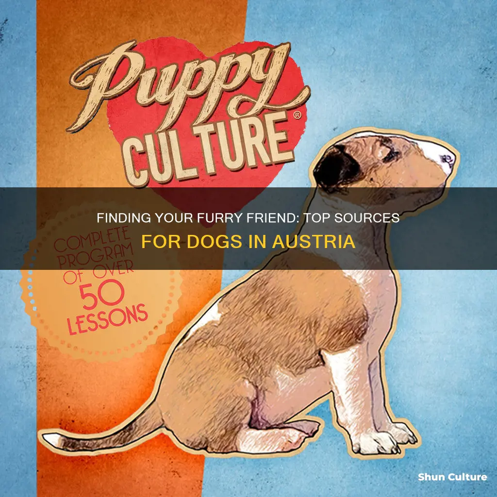 where to buy a dog in austria