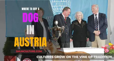 Best Places to Buy Dogs in Austria