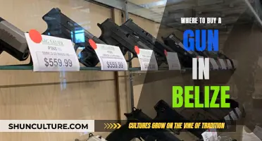 Belize Gun Shops: Where to Buy