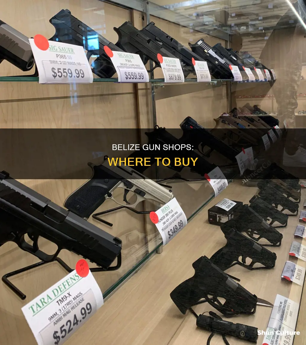 where to buy a gun in belize