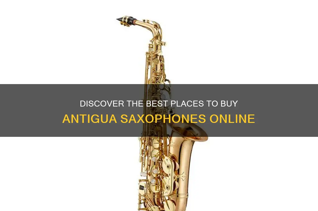 where to buy antigua saxophone