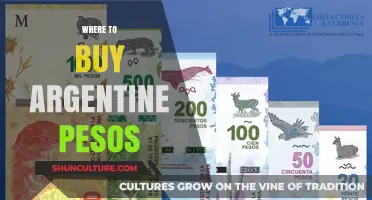 Where to Buy Argentine Pesos: A Comprehensive Guide for Travelers
