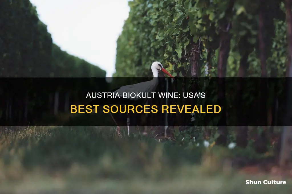 where to buy austria-biokult wine usa