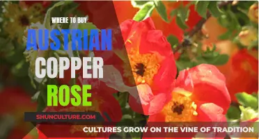 Copper Rose: Austrian Shopping Guide for Buyers