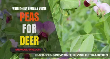 Best Places to Buy Austrian Winter Peas for Deer
