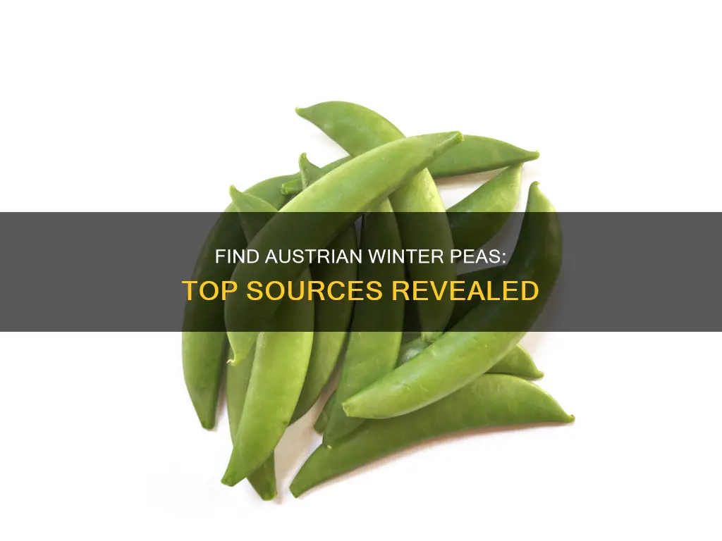 where to buy austrian winter peas