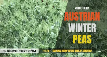 Winter Gardening: Austrian Peas Source Guide