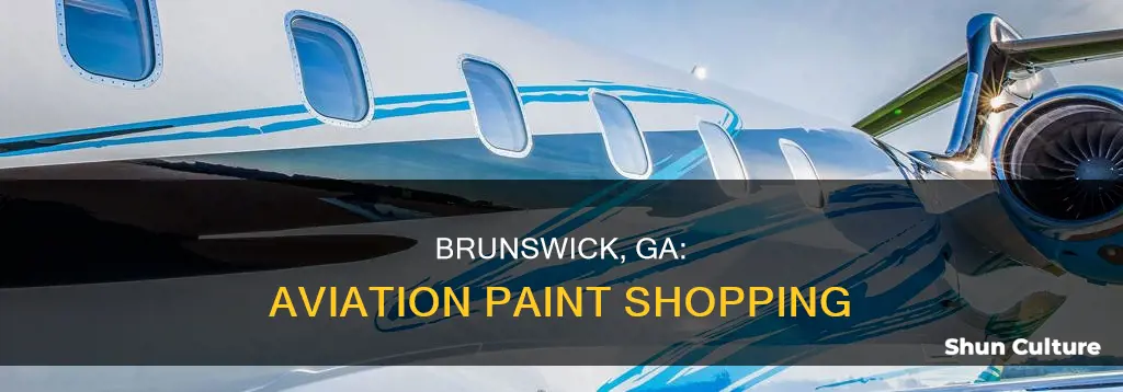 where to buy aviation paint in brunswick ga