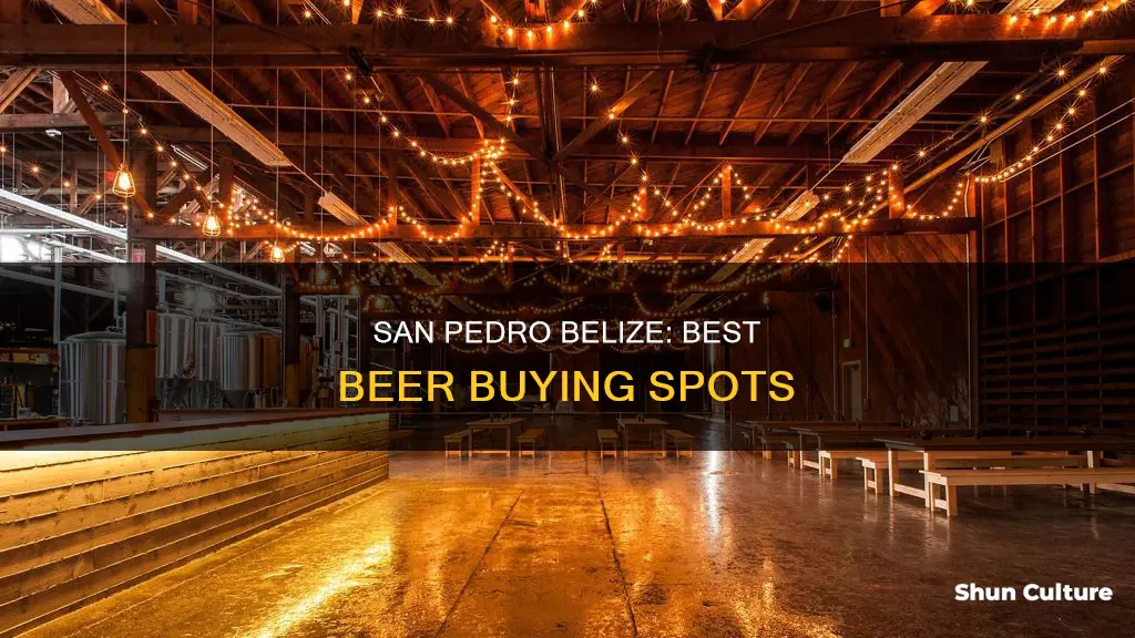 where to buy beer in san pedro belize