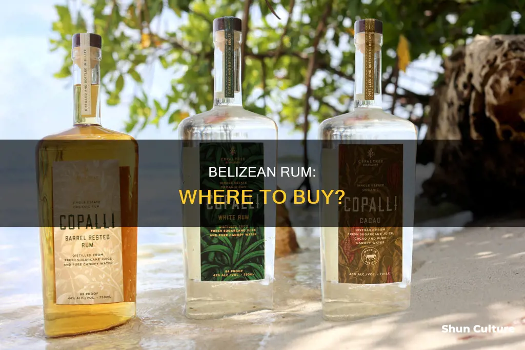 where to buy belizean rum