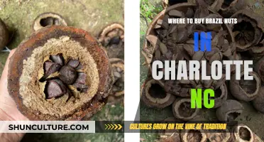 Best Spots to Buy Brazil Nuts in Charlotte, NC