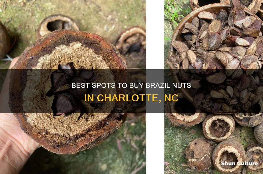 where to buy brazil nuts in charlotte nc