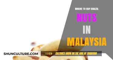 Discover Top Stores to Buy Brazil Nuts in Malaysia Easily