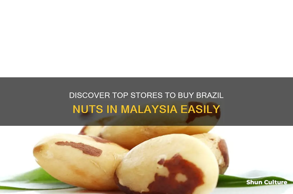 where to buy brazil nuts in malaysia