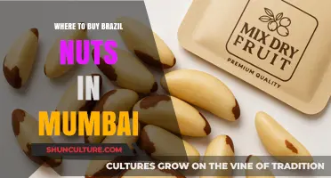 Best Places to Buy Brazil Nuts in Mumbai: A Shopper's Guide