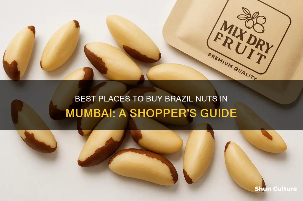 where to buy brazil nuts in mumbai