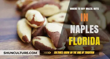 Discover the Best Spots to Buy Brazil Nuts in Naples, Florida