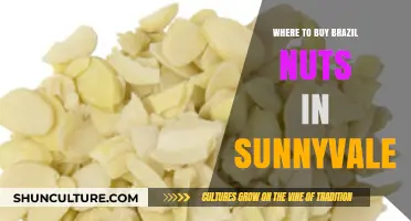 Best Spots to Buy Brazil Nuts in Sunnyvale, California