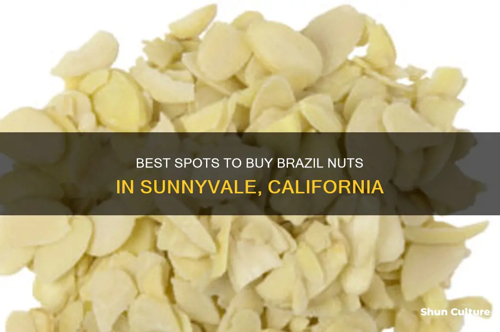 where to buy brazil nuts in sunnyvale