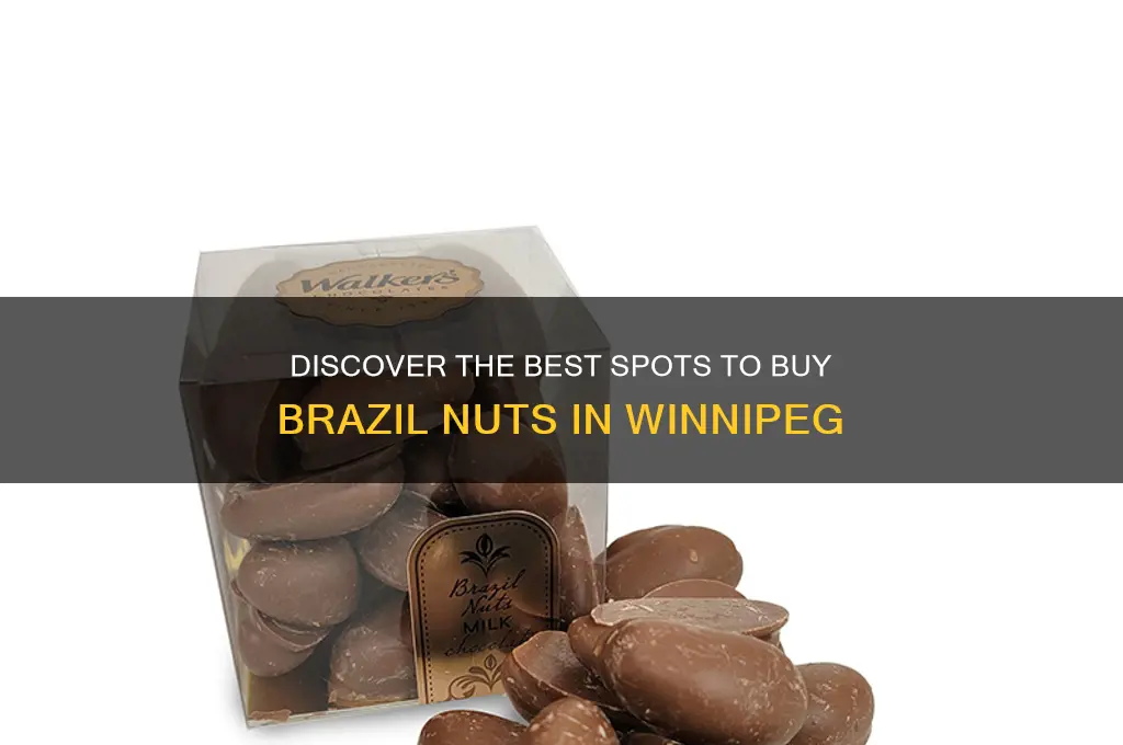 where to buy brazil nuts in winnipeg