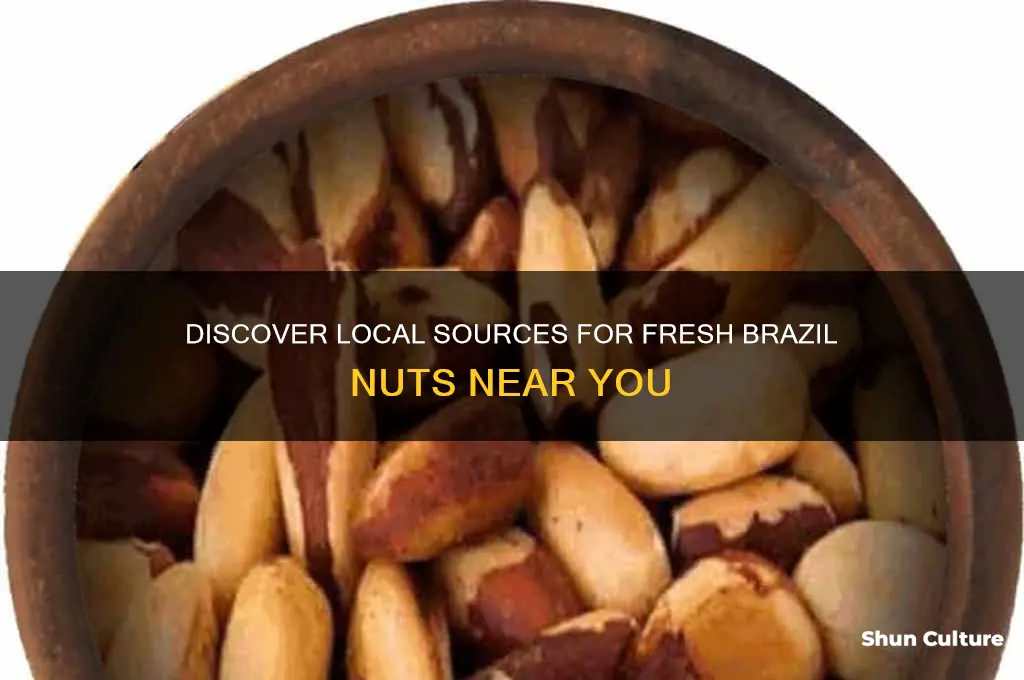 where to buy brazil nuts locally