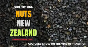 Discover the Best Places to Buy Brazil Nuts in New Zealand
