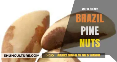 Discover the Best Sources to Buy Brazil Pine Nuts Online