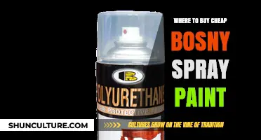 Best Places to Buy Affordable Bosny Spray Paint Online & In-Store