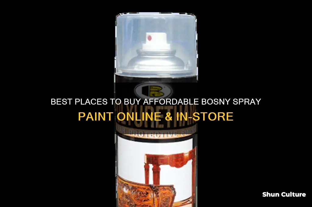 where to buy cheap bosny spray paint