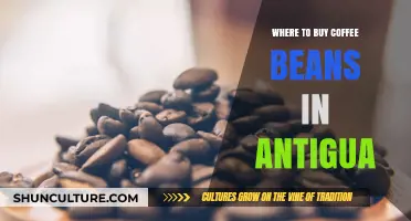 Discover Antigua's Best Coffee Bean Shops: A Buyer's Guide