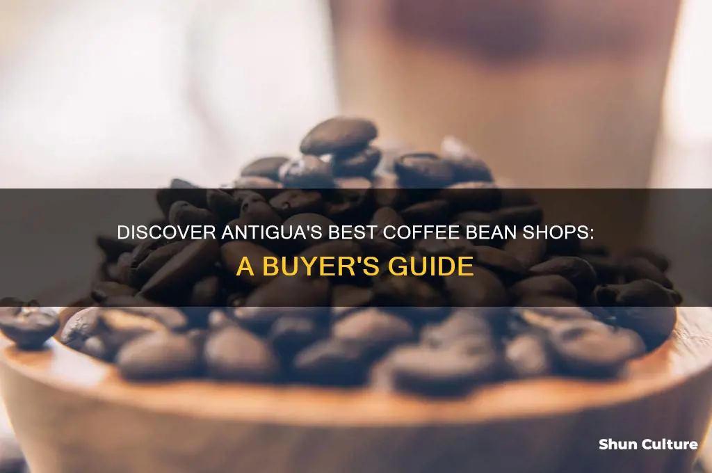 where to buy coffee beans in antigua