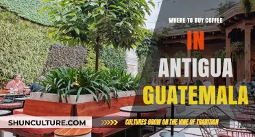 Discover Antigua Guatemala's Best Coffee Shops: A Local's Guide