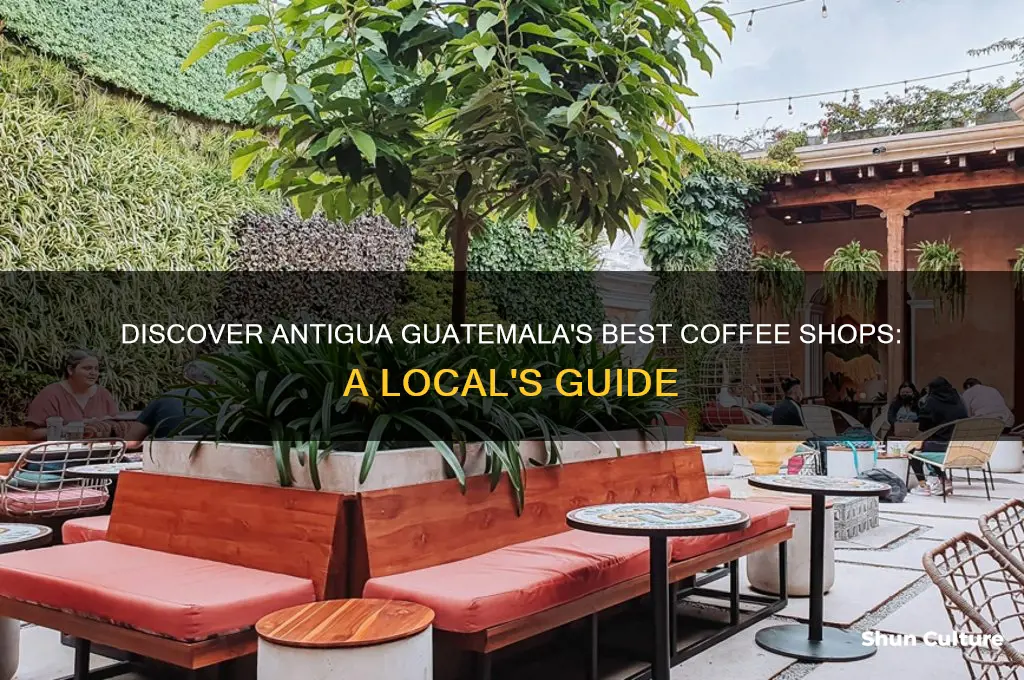 where to buy coffee in antigua guatemala