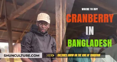 Best Places to Buy Fresh Cranberries in Bangladesh: A Guide