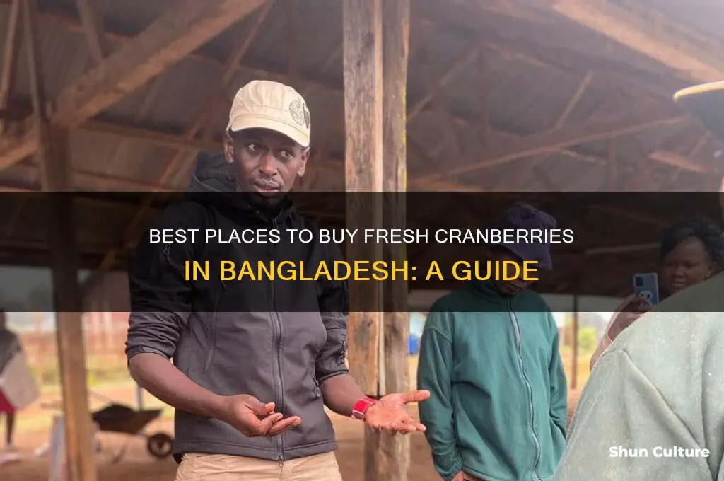 where to buy cranberry in bangladesh