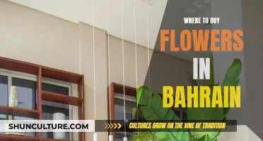 Best Places to Buy Flowers in Bahrain