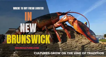 Fresh Lobster: New Brunswick's Best Spots