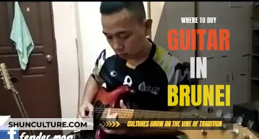 Best Guitar Shopping Destinations in Brunei