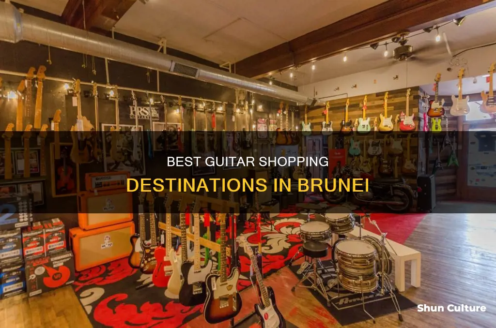 where to buy guitar in brunei