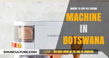 Best Places to Buy Ice Cream Machines in Botswana: A Guide