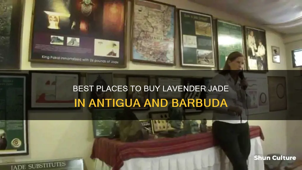 where to buy lavender jade in antigua and barbuda