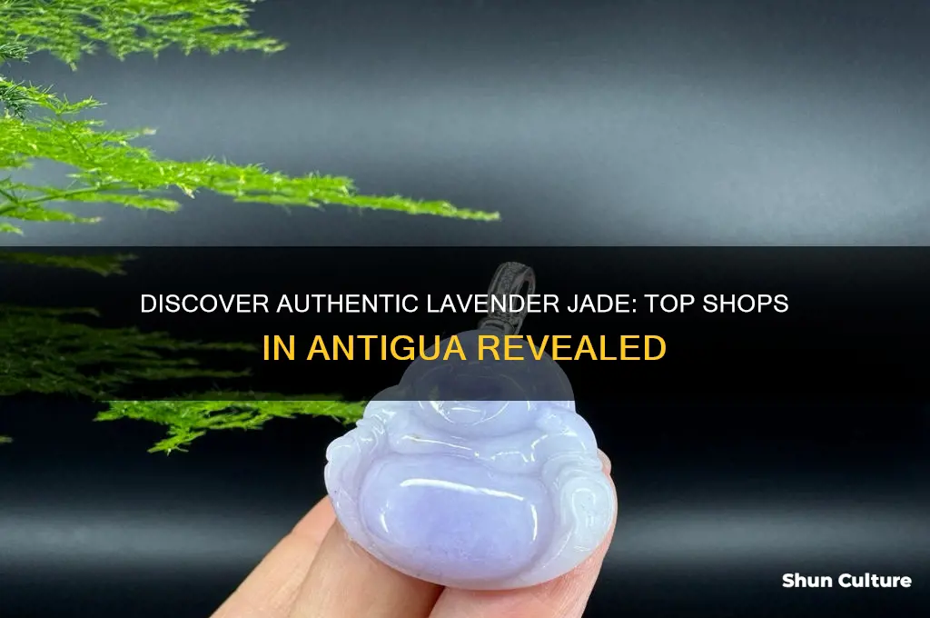 where to buy lavender jade in antigua