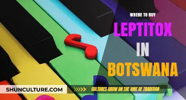 Where to Buy Leptitox in Botswana: Top Retailers and Online Options