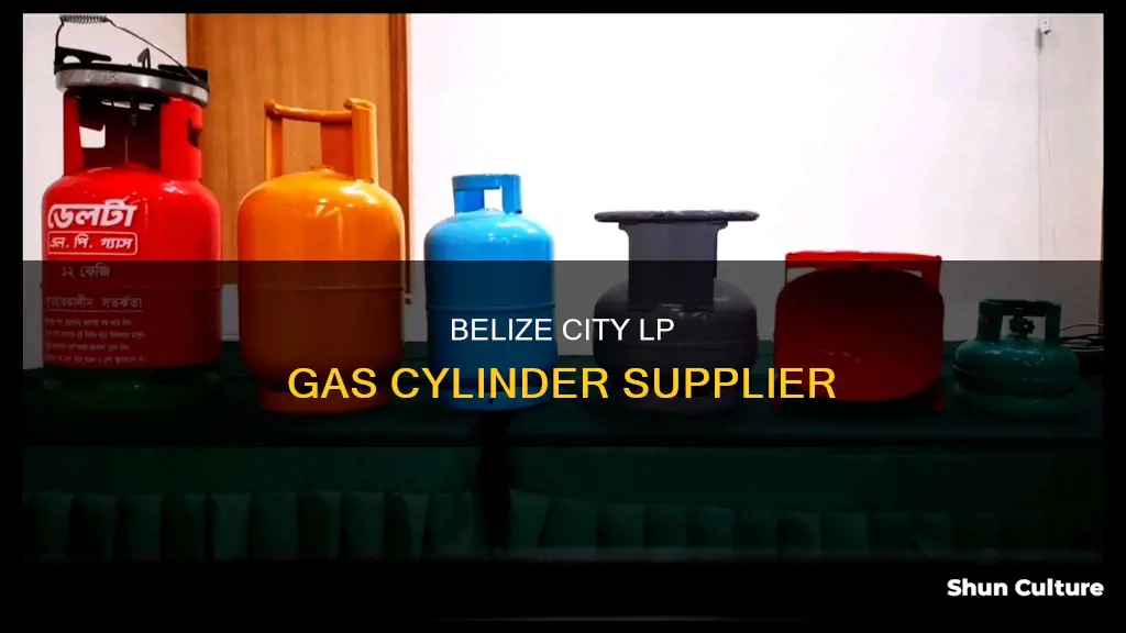 where to buy lp gas cylinder in belize city