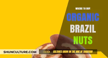 Discover the Best Places to Buy Organic Brazil Nuts Online