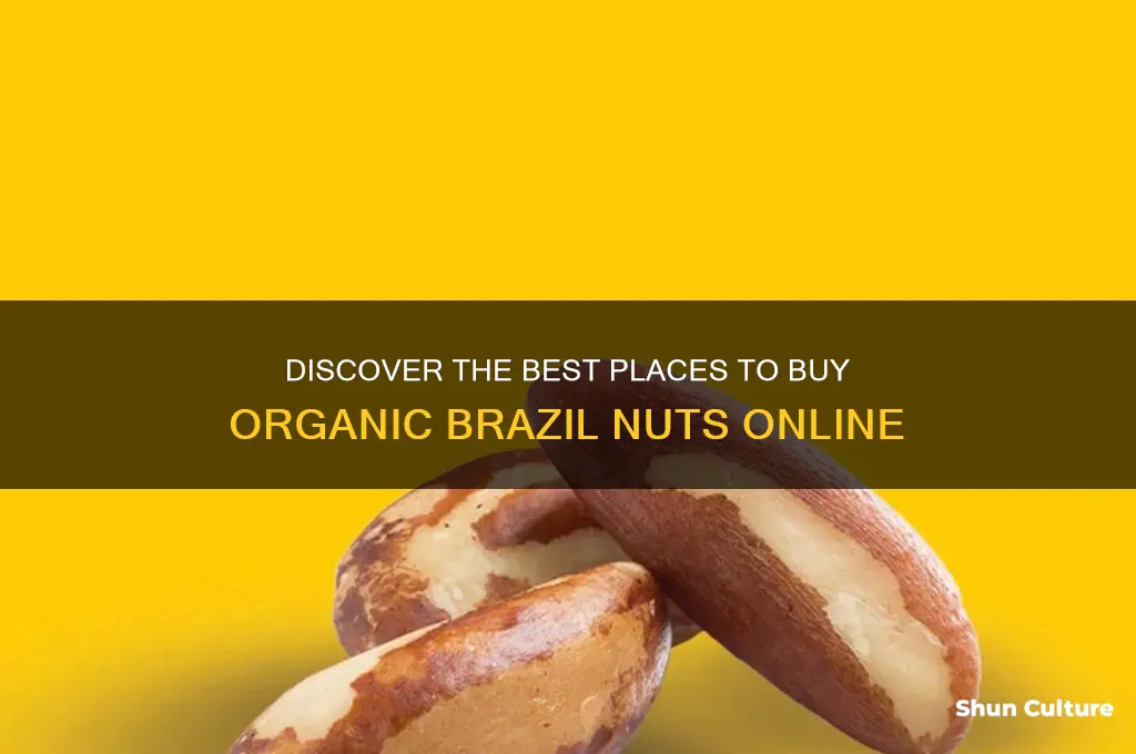 where to buy organic brazil nuts